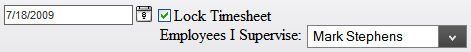 Lock Timesheet