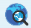 Web_Map