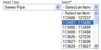 Asset picklist