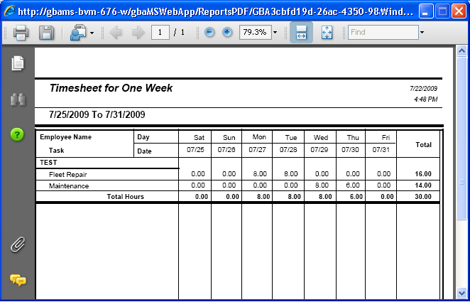 Timesheet Report