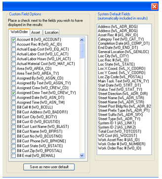 custom field options