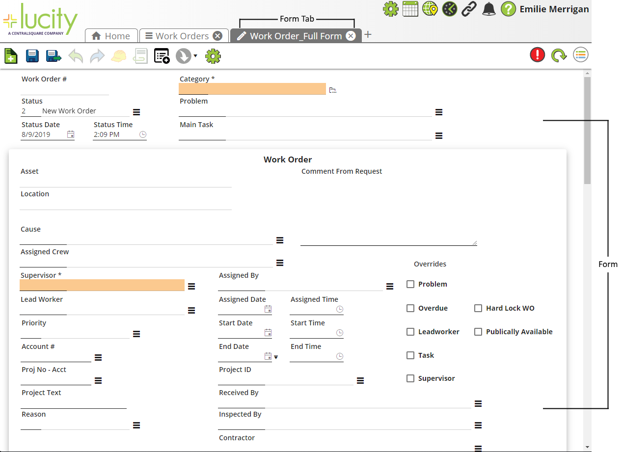 sample lucity web form