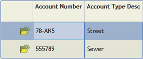 Accounts Grid